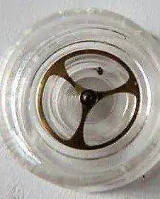 48730875.webp