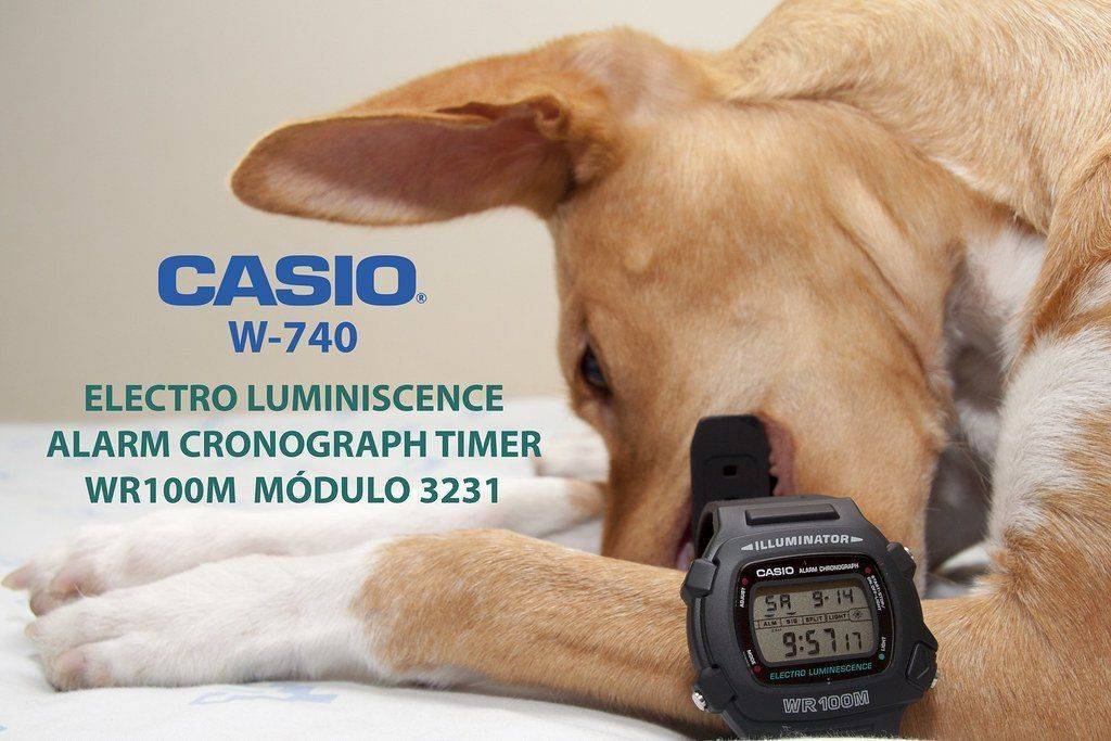 CASIO W-740, un superviviente de 90 (Review 69) | Relojes Especiales, EL foro de relojes