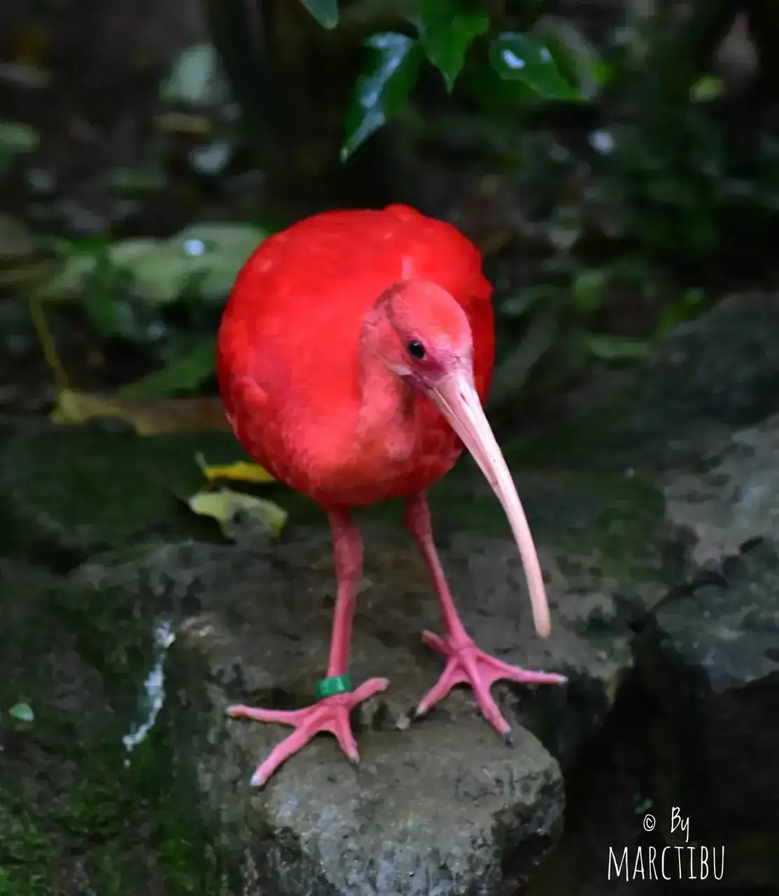 48908697883_03a98fdeec_h.webp