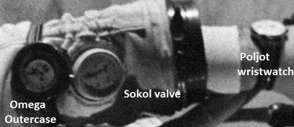48914543313_5785e3db92_o.jpg
