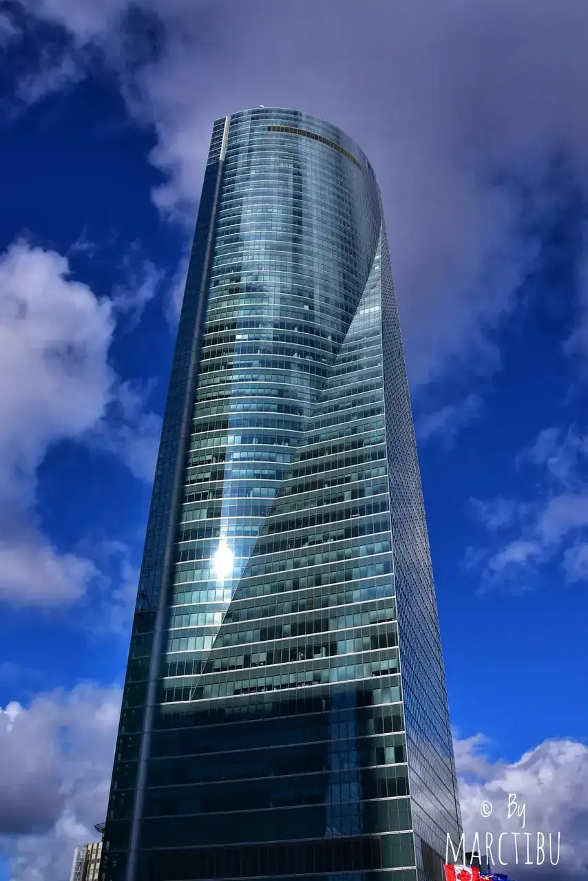 49080010676_8c0c252c6c_h.webp