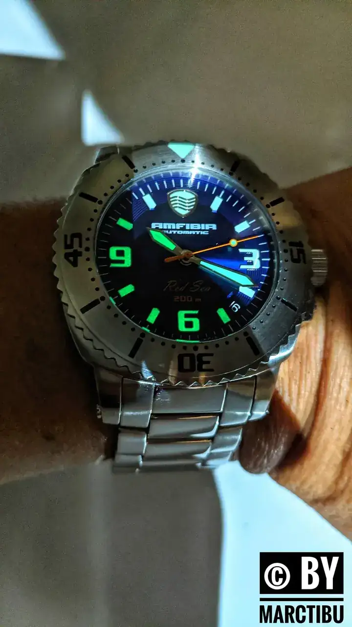 49089514668_8c7679974d_h.webp