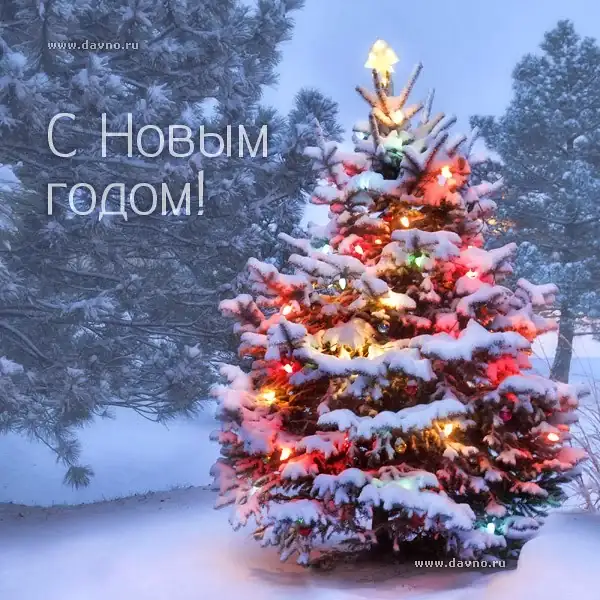 49257074488_bdfac527eb_z.webp
