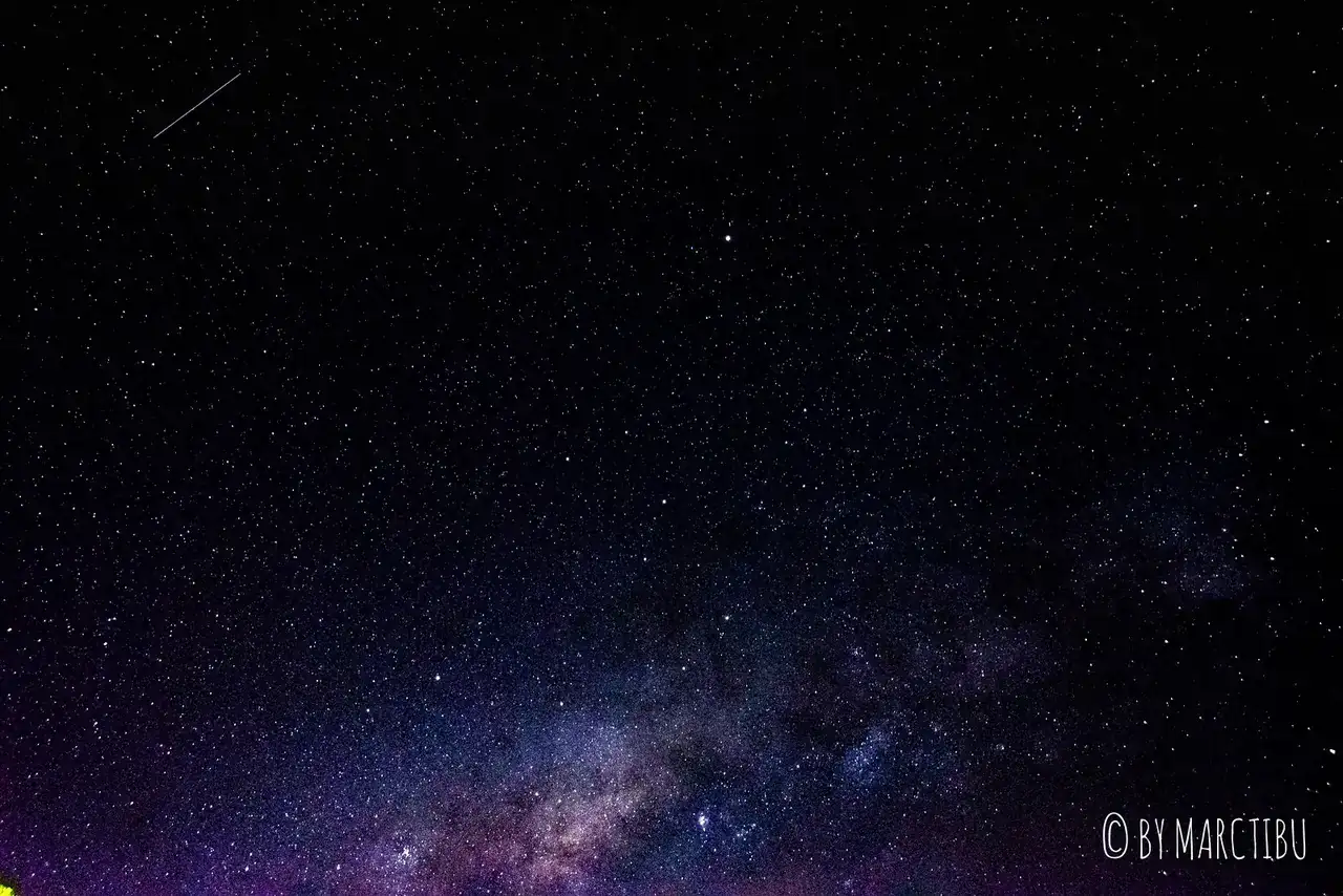 49293811083_093e0c6748_h.webp