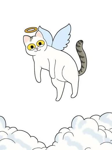 49344.webp