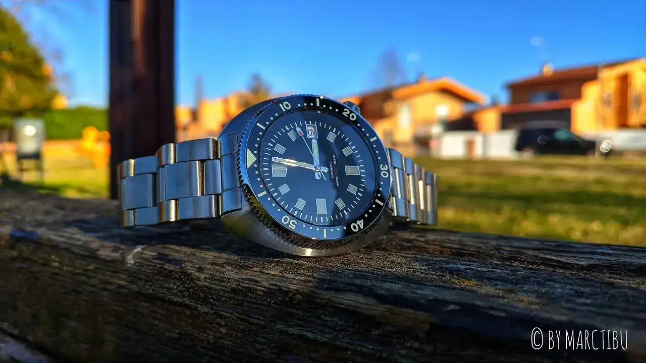 49356806967_942c6f2413_h.webp