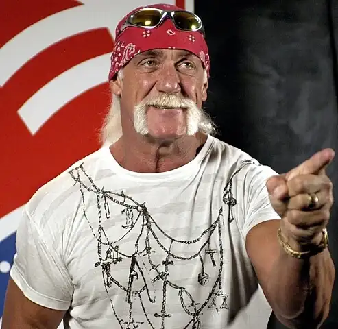 493px-Hulk_Hogan.webp