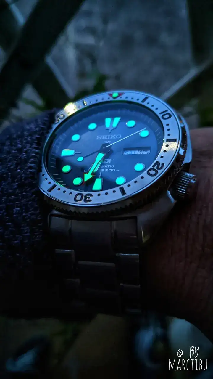 49539211467_9e979910c9_h.webp