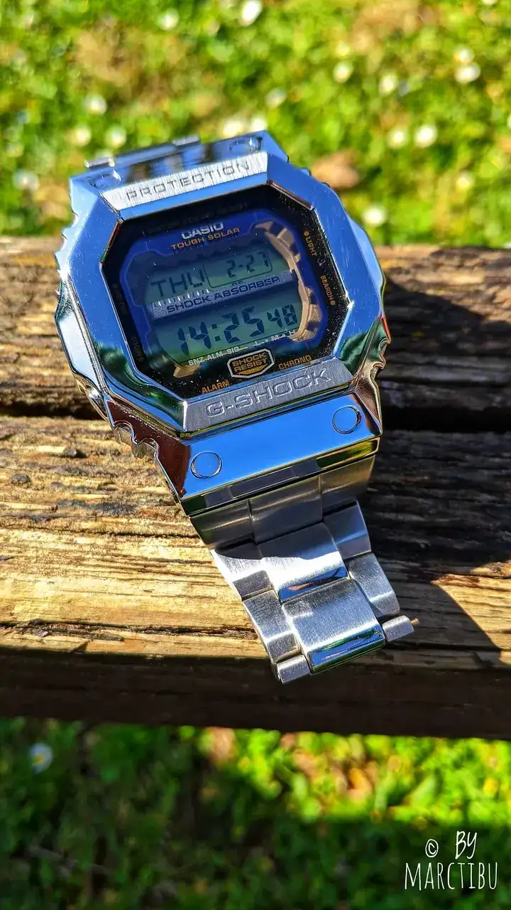 49591972676_c13000e60e_h.webp
