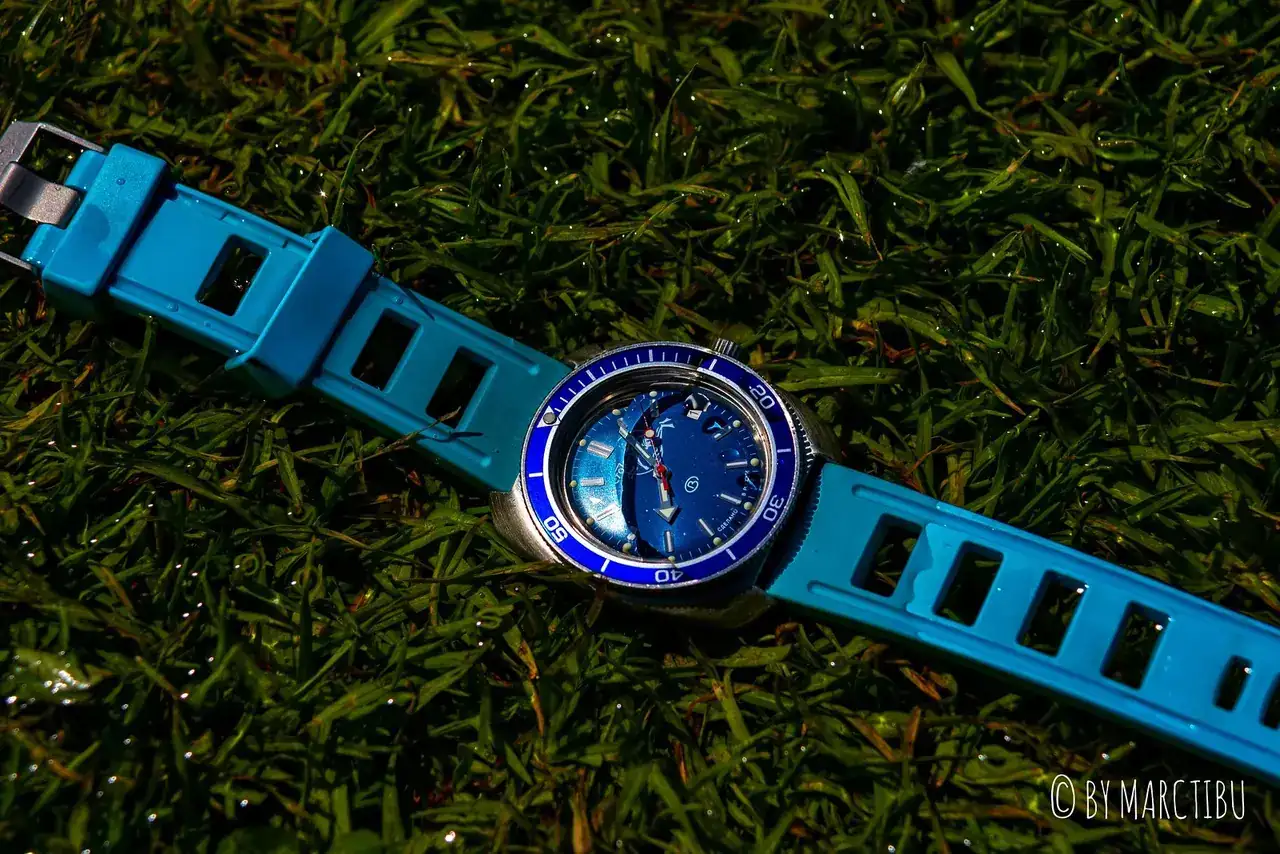 49673026548_aecd55dc42_h.webp