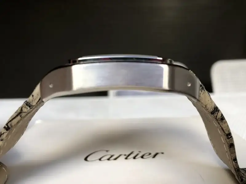 49995600096_2c1c7688e8_c.webp