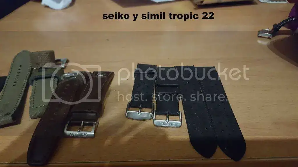 4c23e86b-e854-4fe2-9a76-de9d3e0b2687_zpsas1tvaag.webp