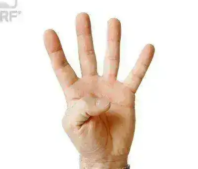 4dedos.webp