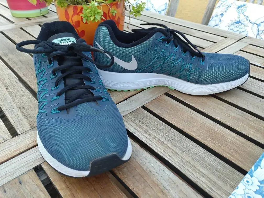 Vendo zapatillas Nike Pegasus | Relojes Especiales, EL foro de relojes