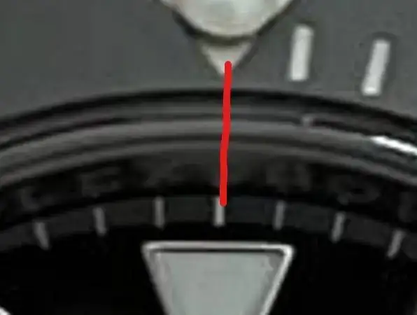 5.webp