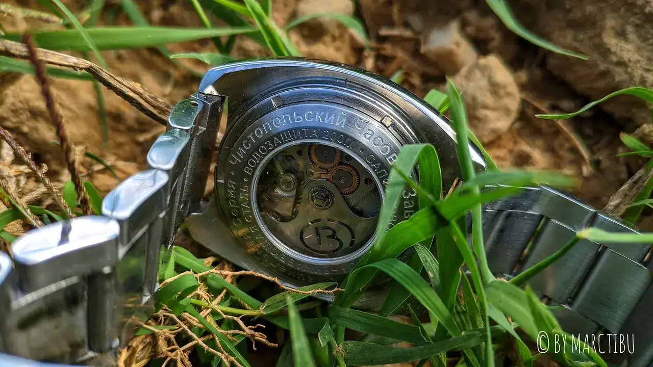 50329554853_4d7613a580_h.webp