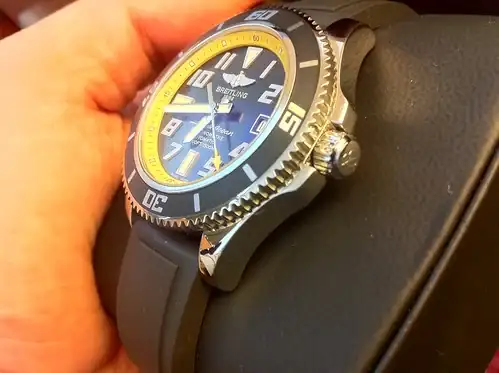 5050025373_8bf619e73d.webp