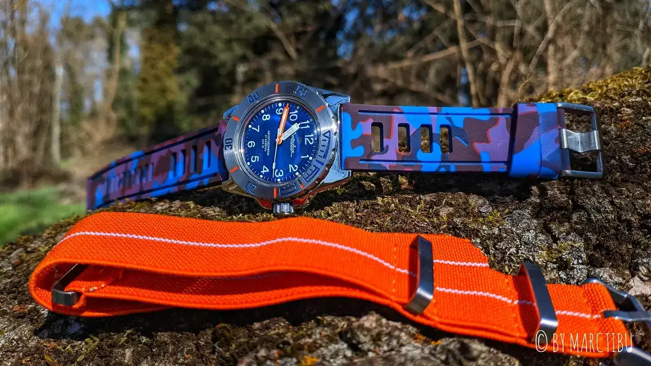 50986175017_e5cf126b44_h.webp