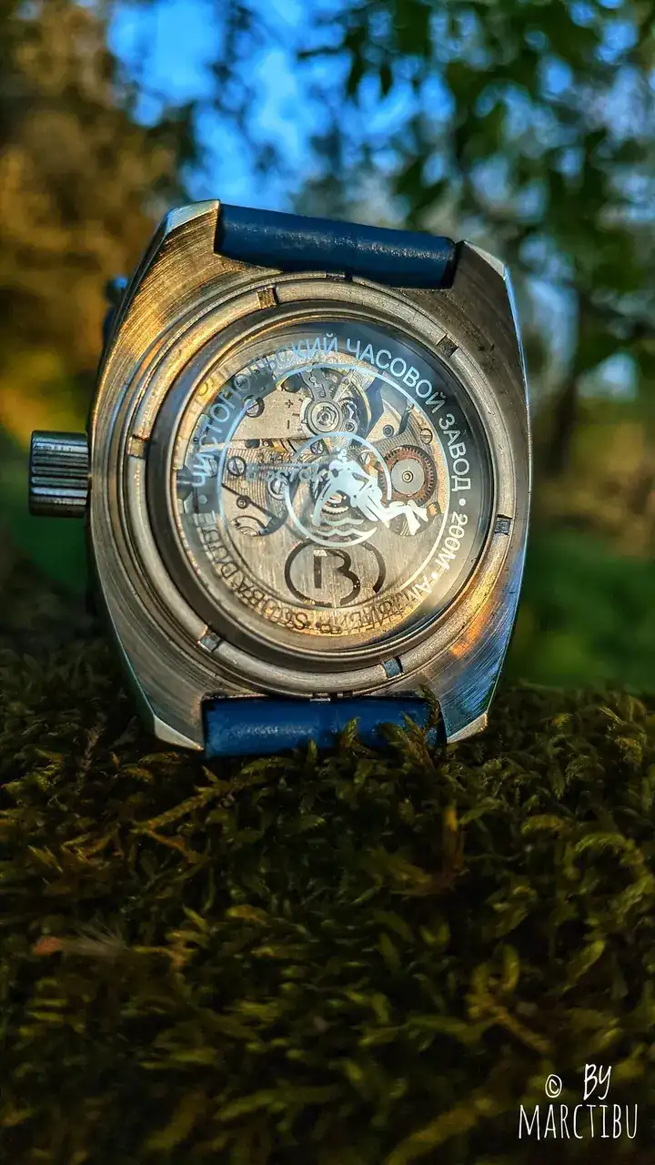 51094670896_1815c61af4_h.webp