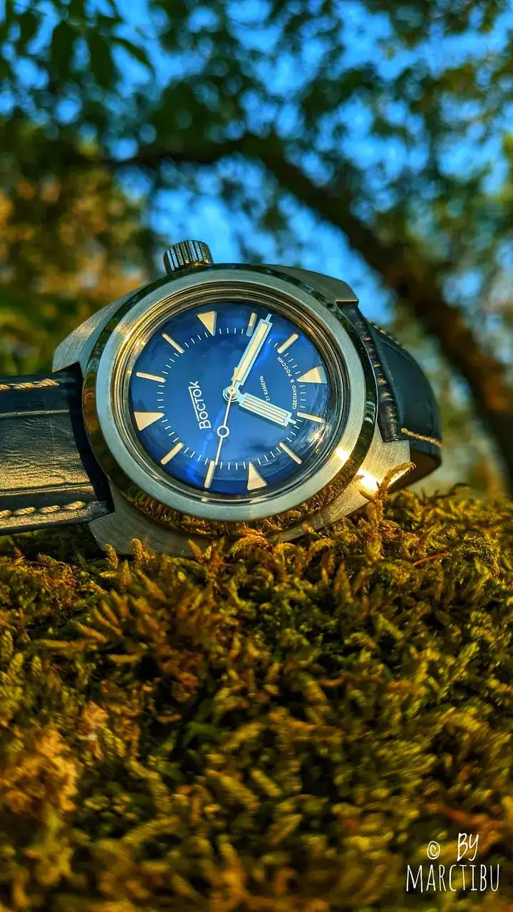 51094752909_0c019c8f51_h.webp