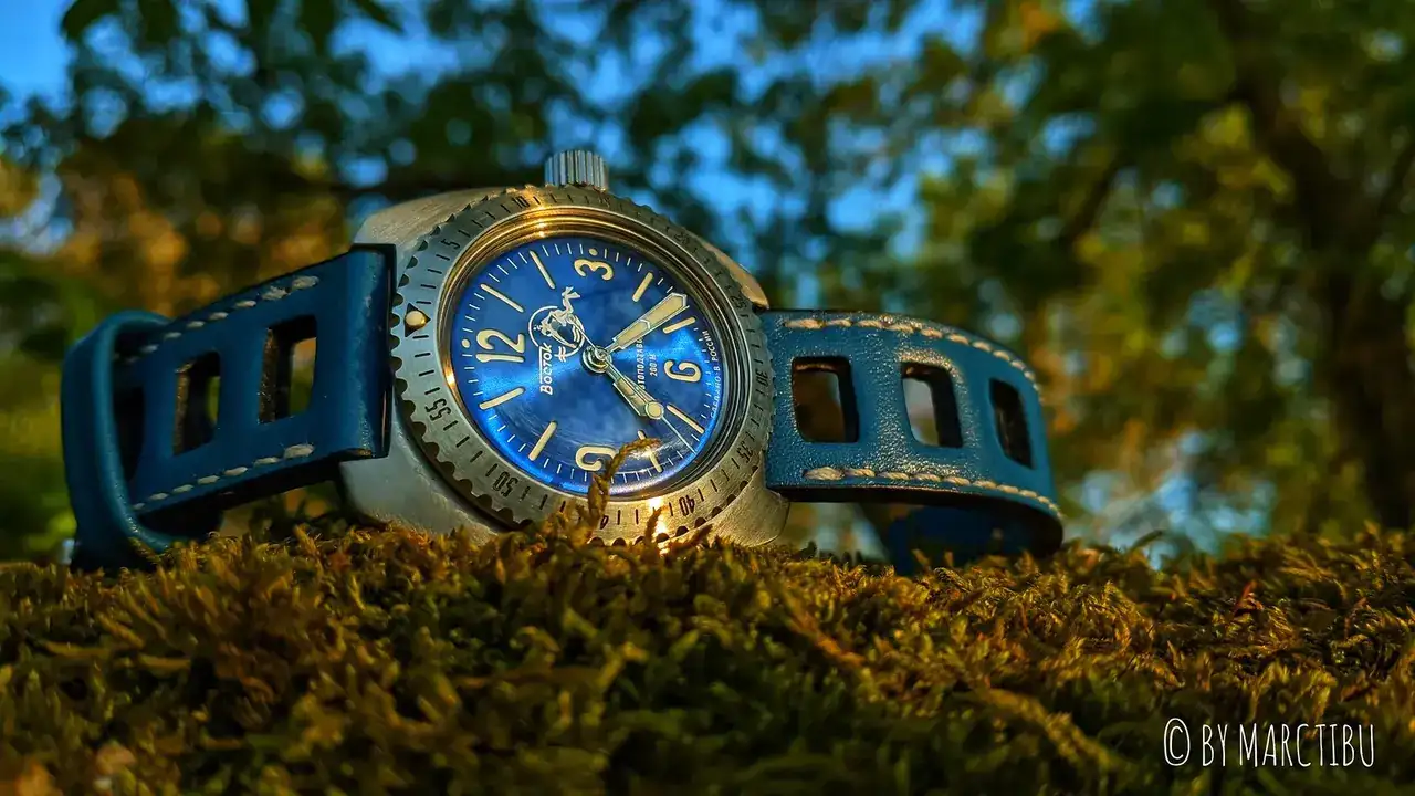 51095475440_4e1a4c2053_h.webp
