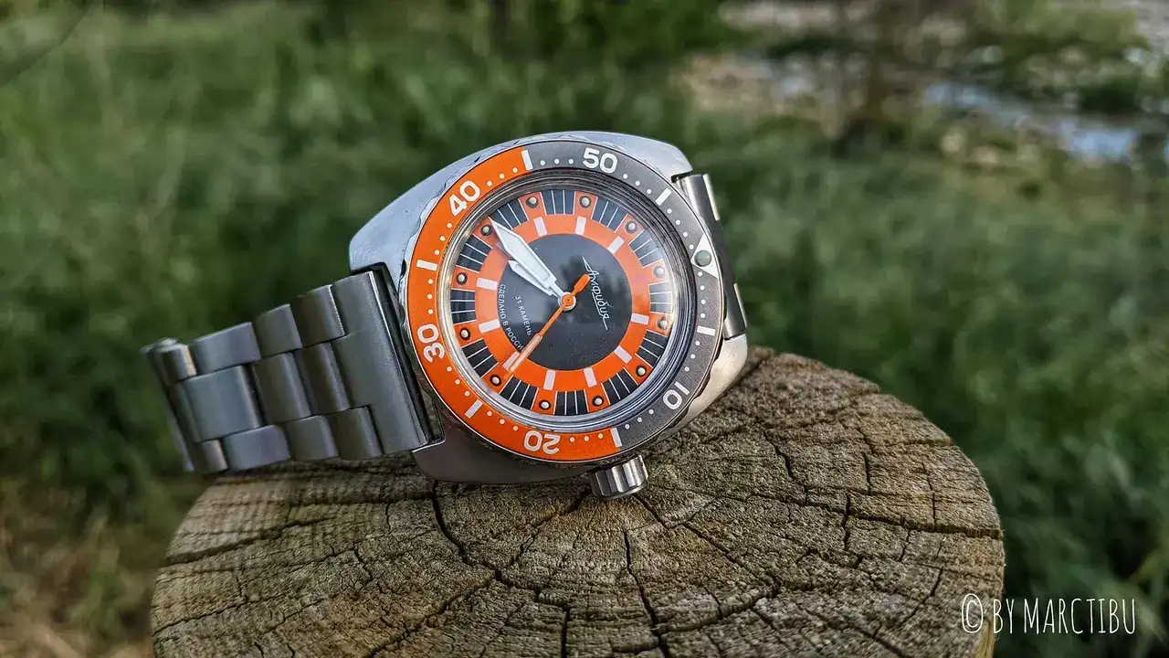 51136779930_5a3dcca8f2_h.webp