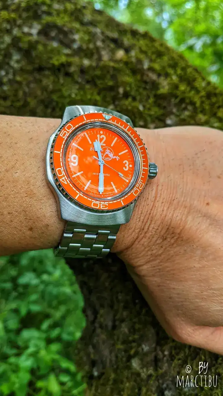51196427287_33f7101987_h.webp