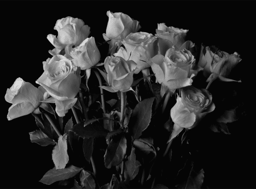 5263b0ab2b602f3060841cb4d5e213e5.gif