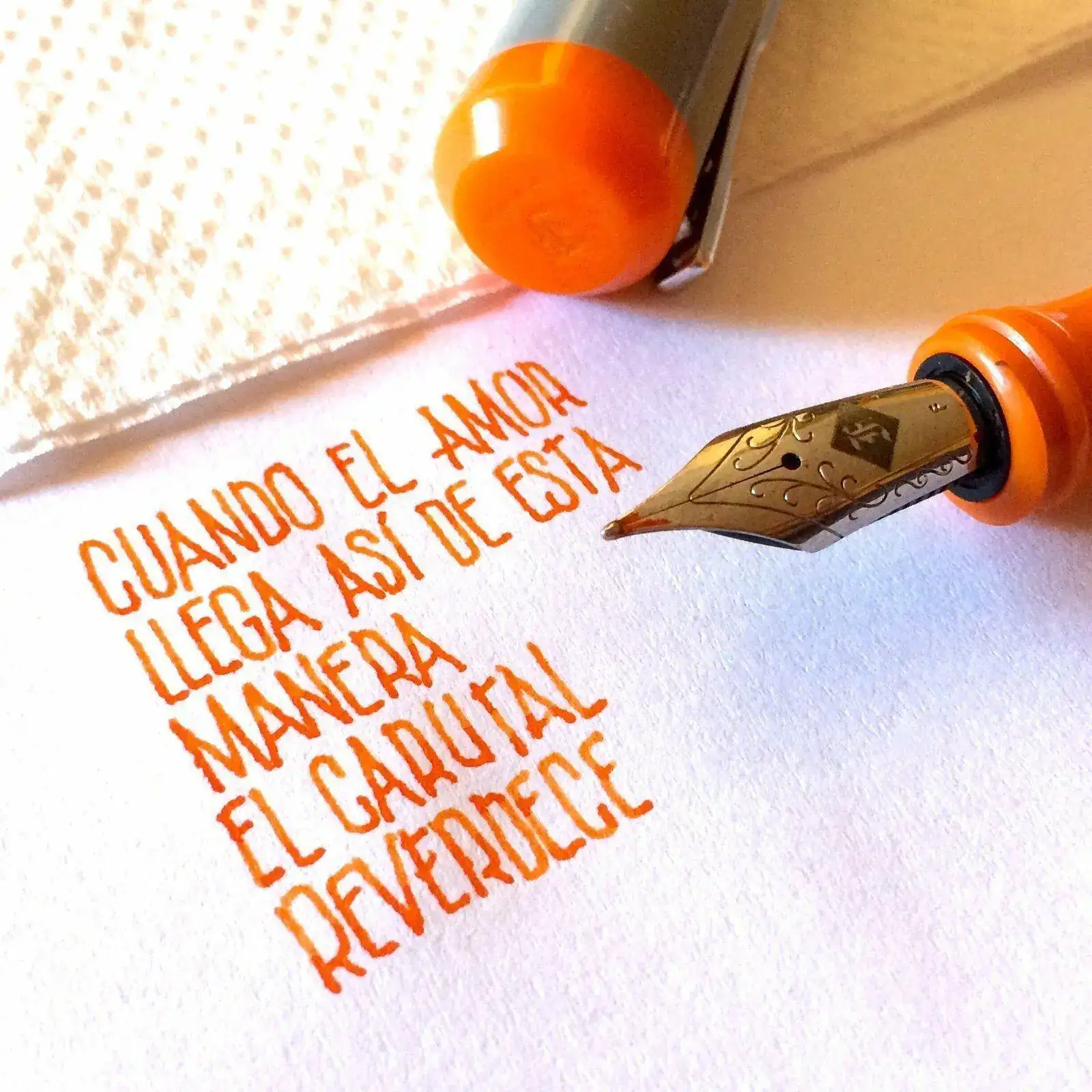 5293d0bea7979e82454d9c3b69043a1b.webp