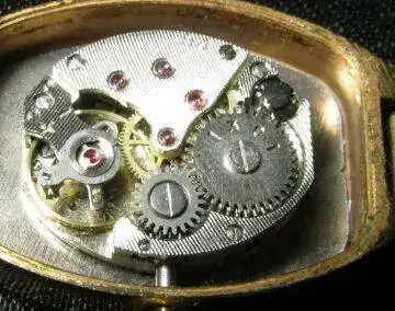 52cc7720dd742423cea89c2b6d7032f9.webp