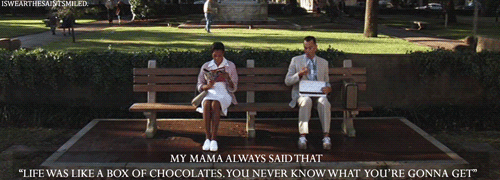 530full-jpg.gif