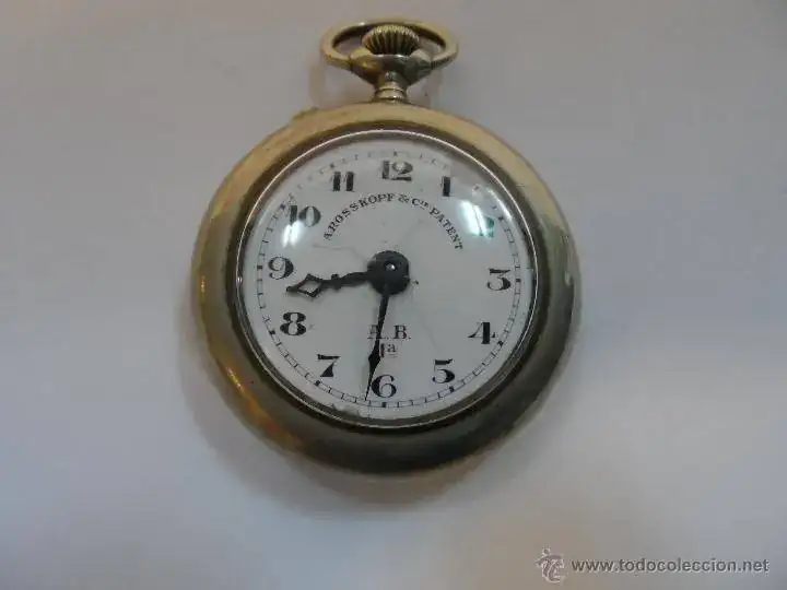 53303149.webp