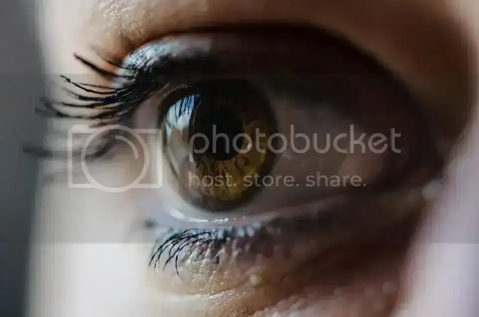 534008_10150796525070610_136243499_n.webp