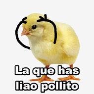5364156.gif