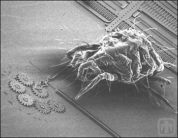 5418Fig02_zps5j8rmqec.gif