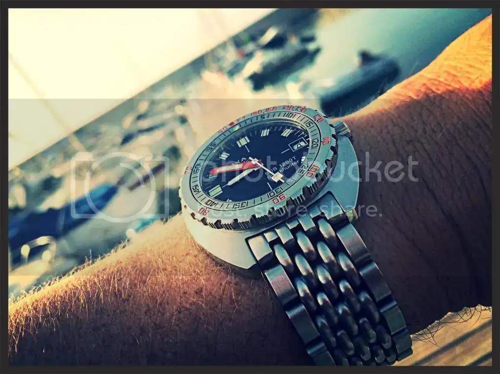 56272EEB-D238-4B92-B9FE-AD02299AEFFF_zps9kappqlq.webp