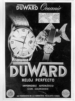 57a0b47fcc54fb034655e48c7e1920a2 (1).webp