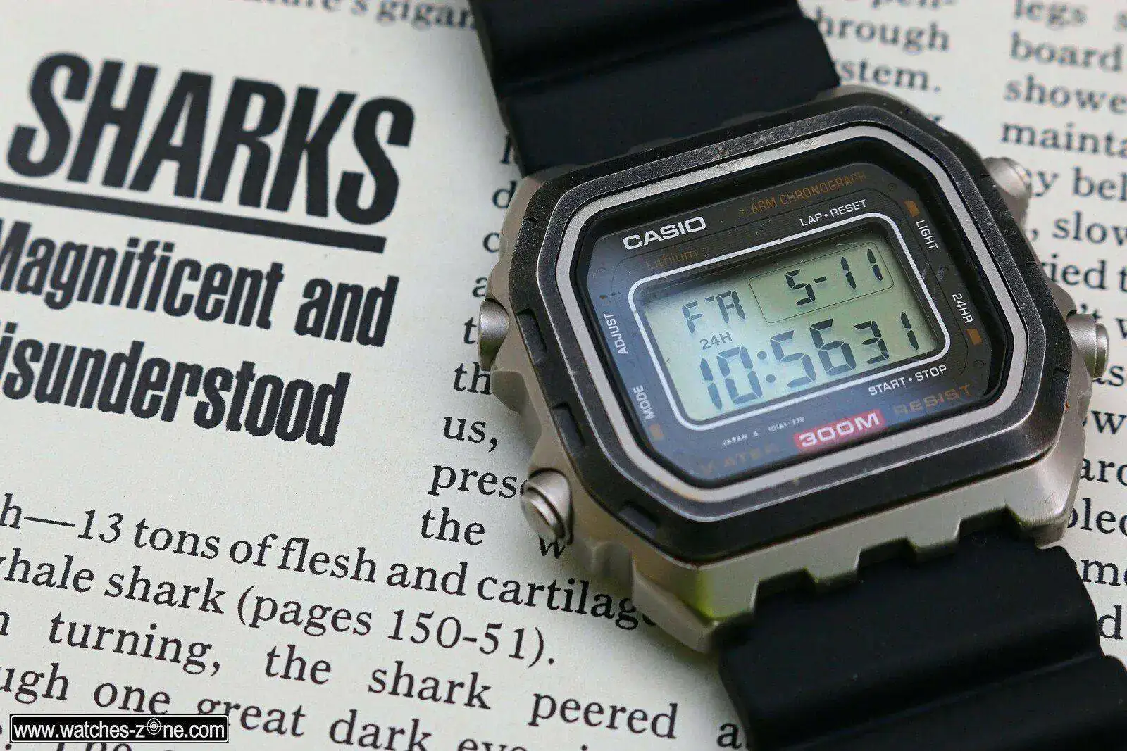 casio t rex
