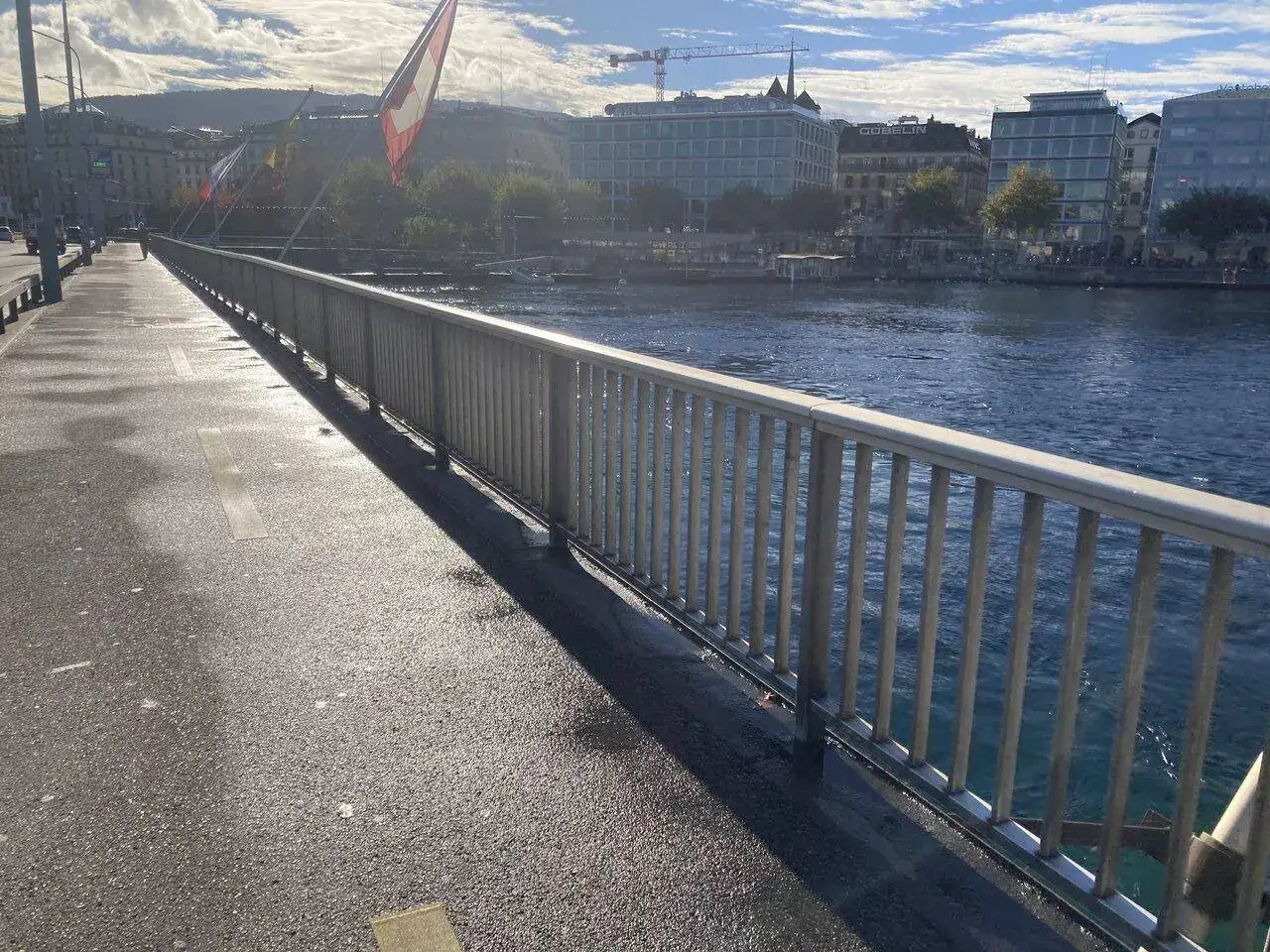 586AE929-0826-4BDA-99C2-4D49C5E09660.jpeg