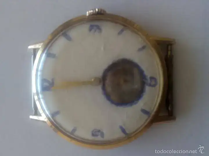59501863_35275763.webp
