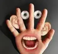 5ah2vfV80NDrezPZFKkfaQIvc9Pxp4wIGHC2IlMJv8BQDEvwxl.webp