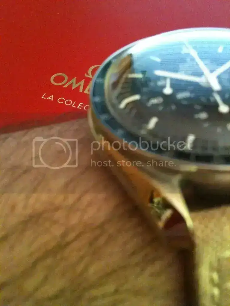 5B993090-97E7-447D-8464-E2361A25E88F_zpszgpcfysc.webp