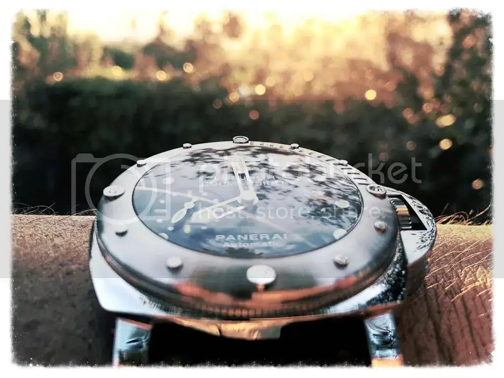 5C823040-59A6-4D83-AB35-266DC9044CE3_zpsfm9igh3k.webp