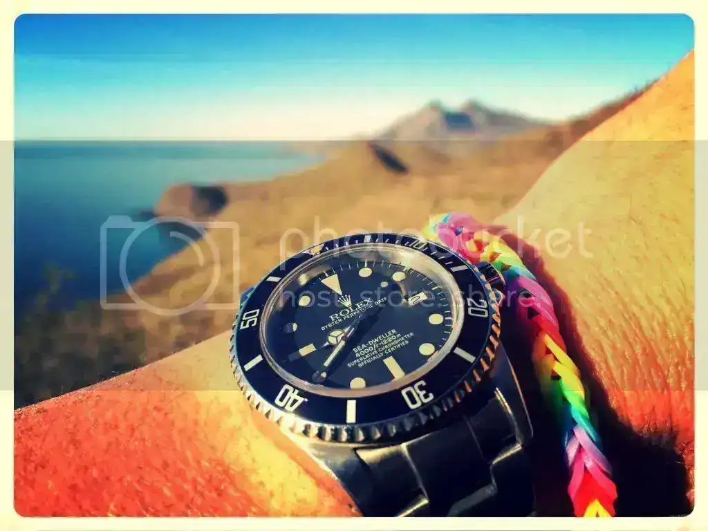 5F0A7C7B-67ED-46A4-94E4-34C02F609979_zpsbqxy9ffx.webp