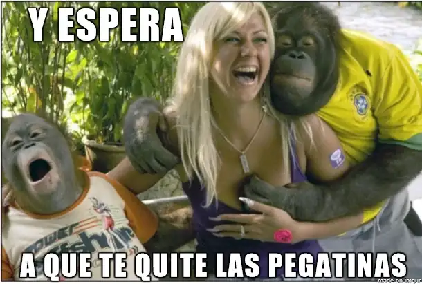 5F0JrCP.webp