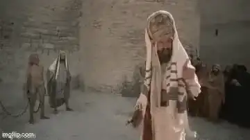 5wfolu.webp