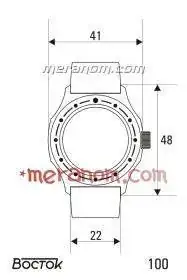 6.Vostok-100-Case-Size-max-900.webp