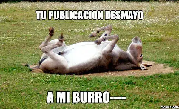 619716.webp