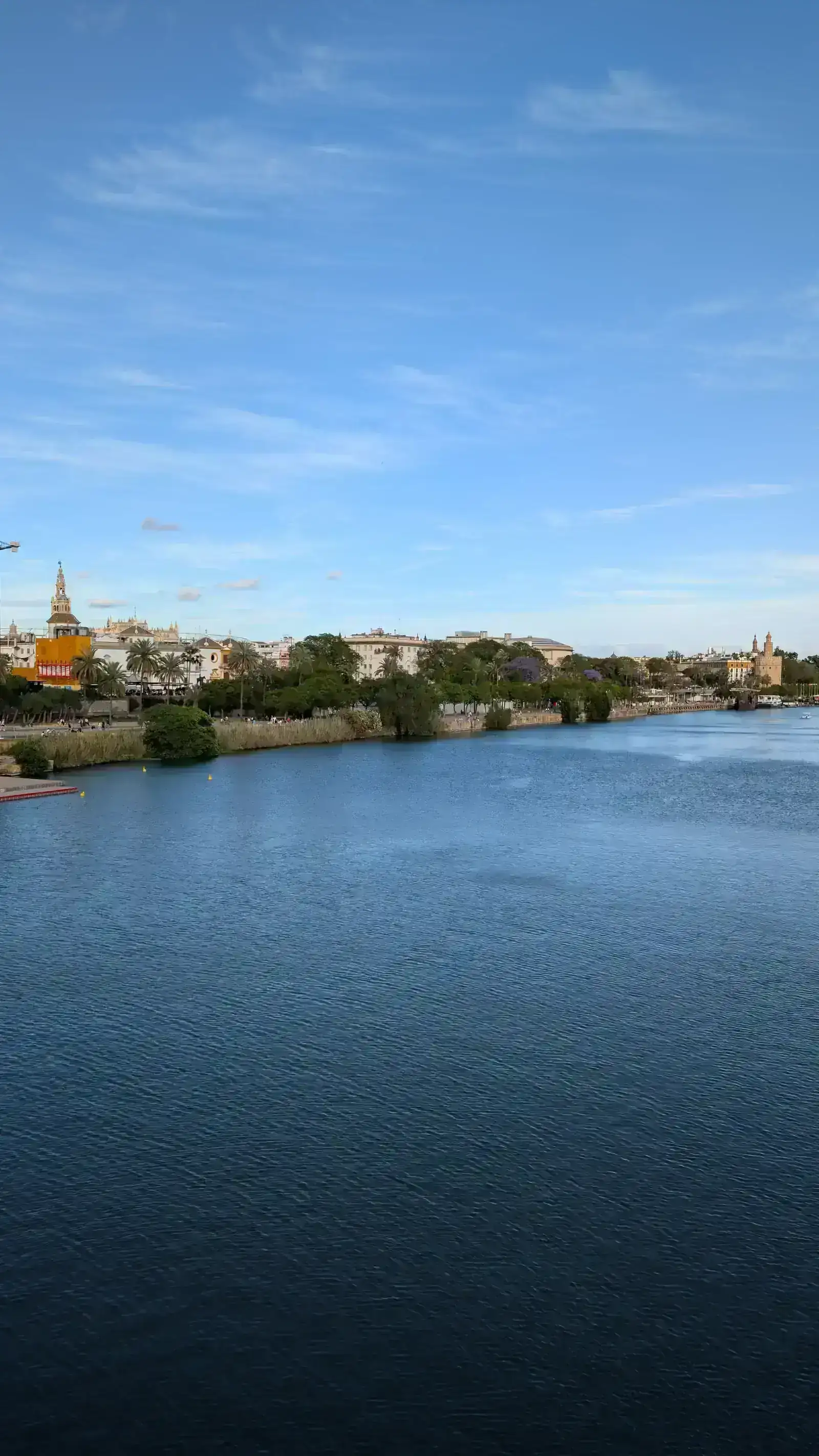 62453.webp