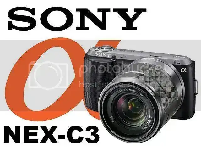 6253189107_73b8ed7b44_z.webp